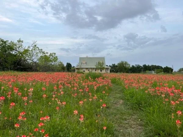 Photo of 928 Upper Elgin River RD