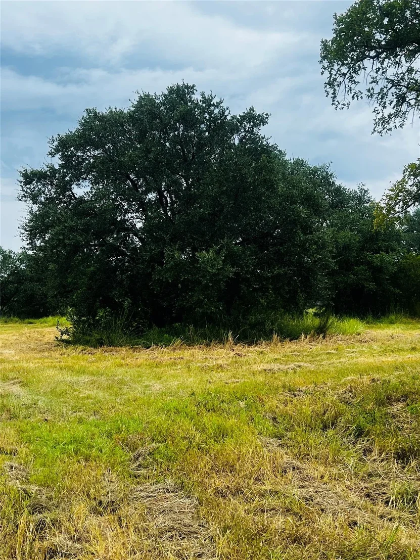 Photo of 241 Lehne LOOP