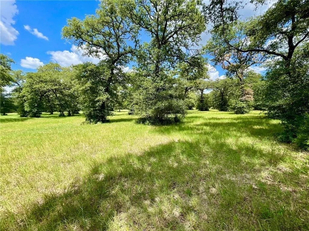 Photo of 10571 County Road 321