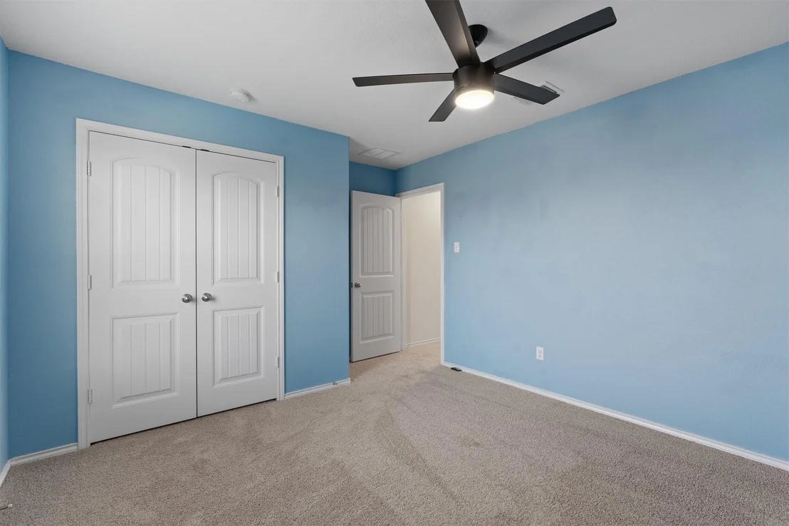Photo of 804 Water Hyacinth LOOP