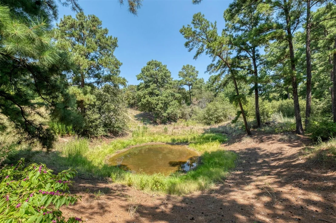 Photo of 234 Sandy RD