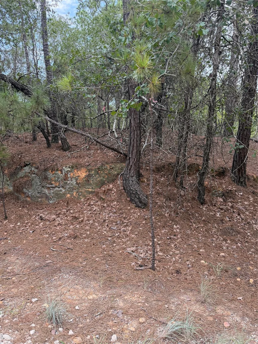 Photo of Lot 214 Hekili DR