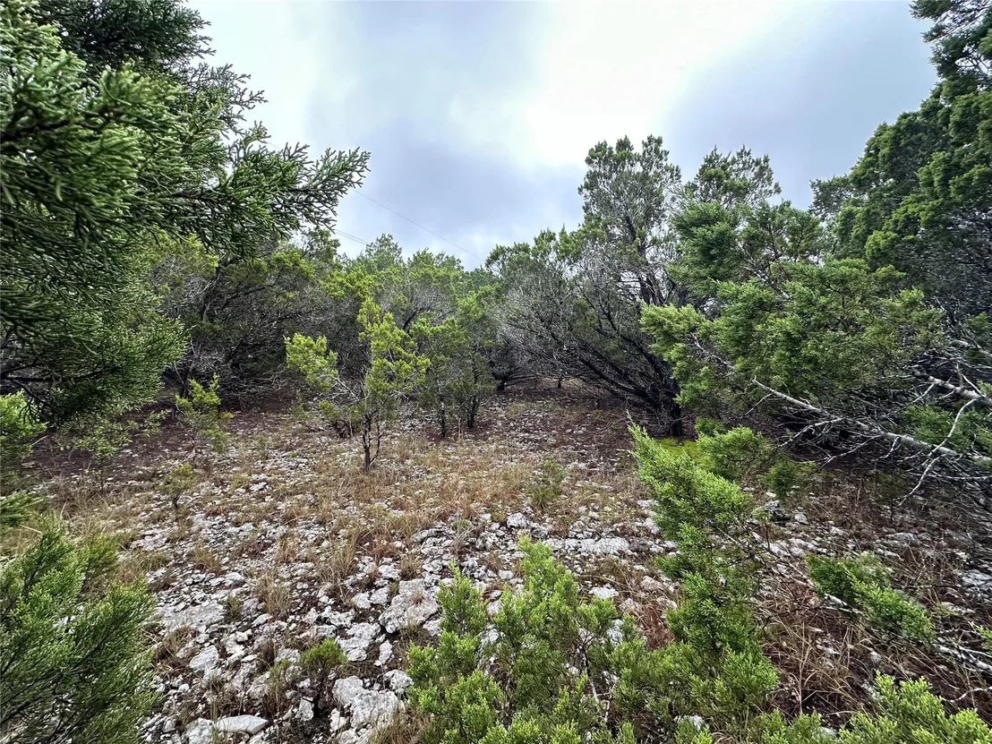 Photo of 20600 Trinity CV