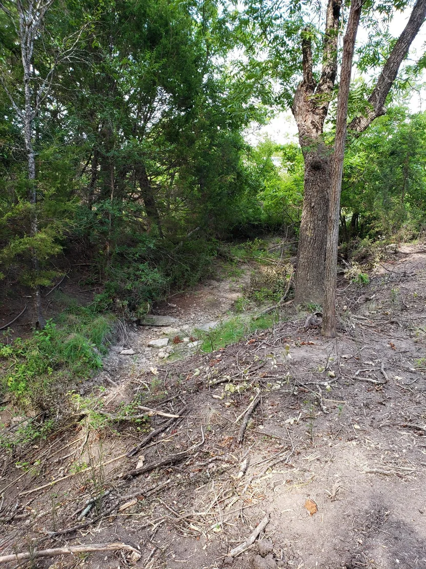 Photo of Lot 44 County Road 3640