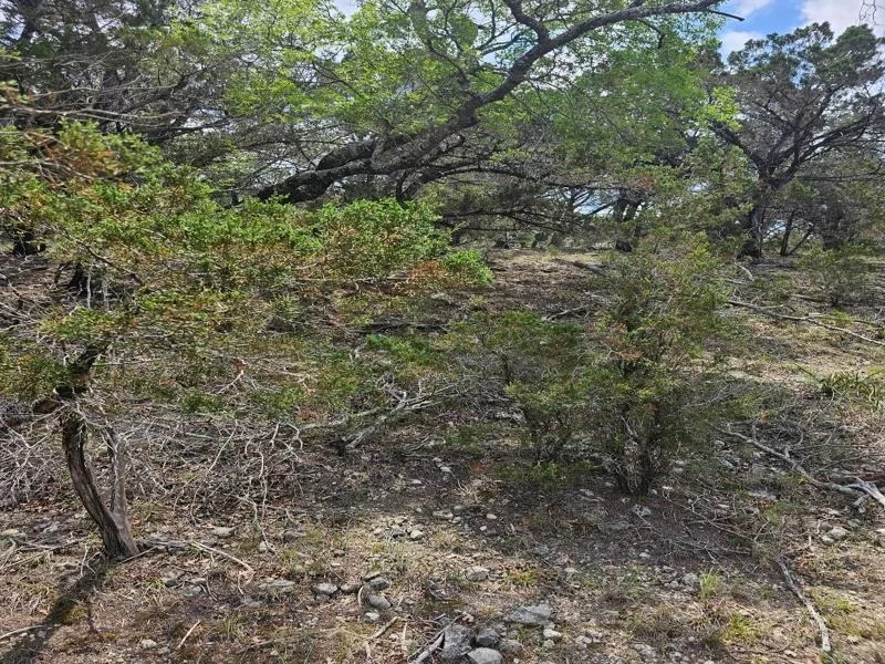 Photo of 4509 Outpost TRCE