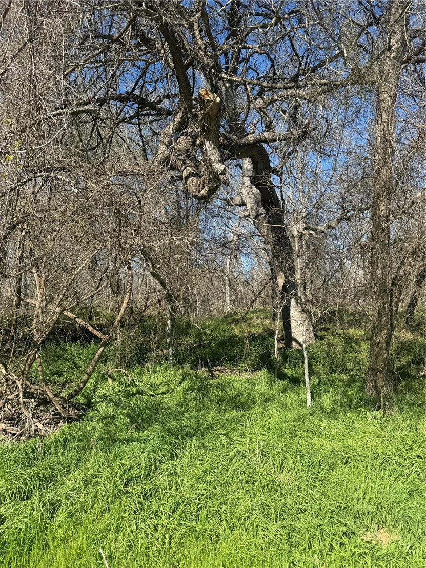 Photo of Lot 961 Riverside DR