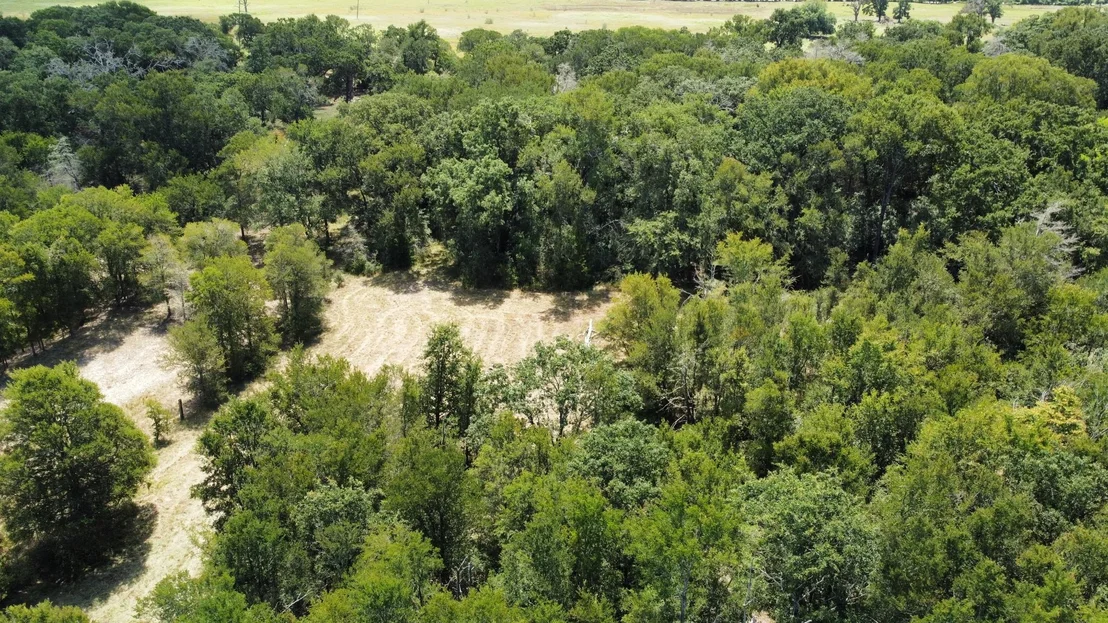 Photo of 11305 Cooper LN