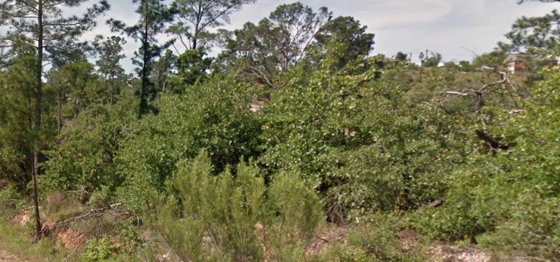 Photo of 245 Lamaloa LN
