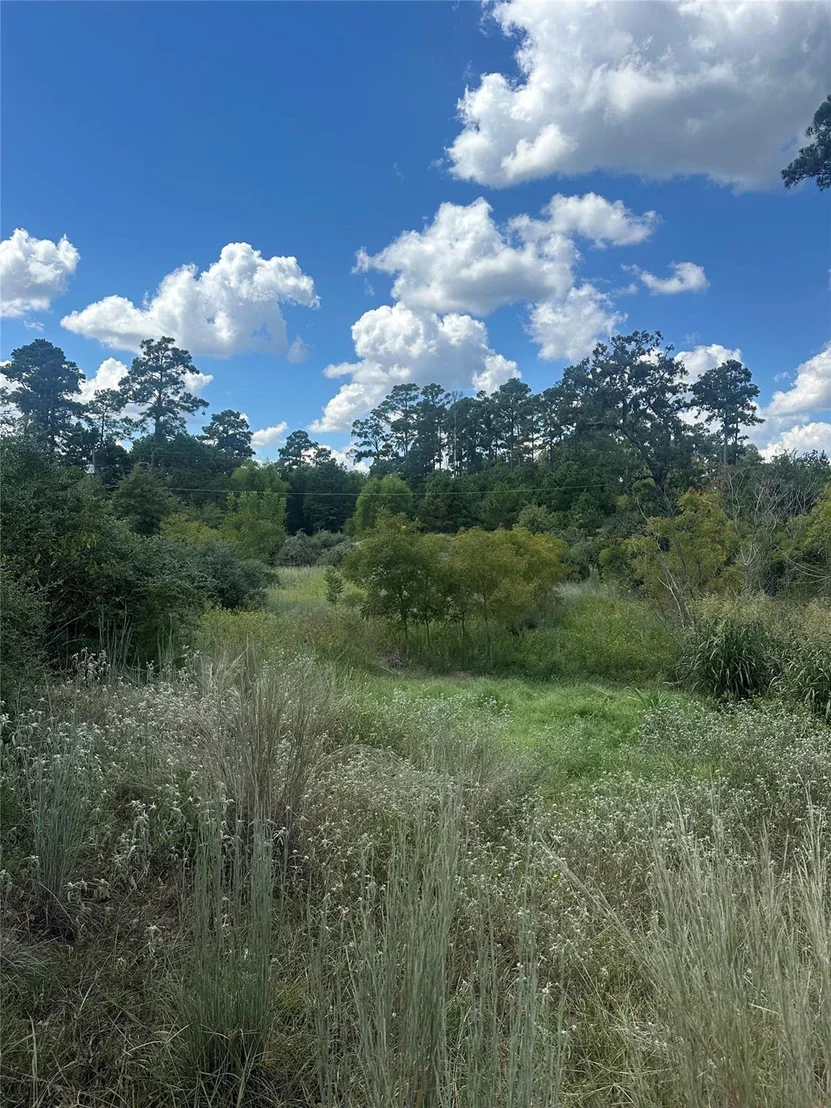 Photo of 210 Long TRL