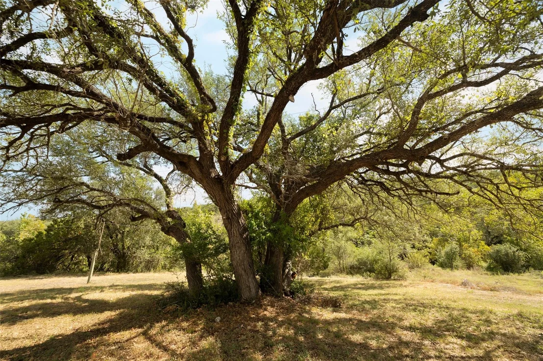 Photo of 10703 Ranch Road 12