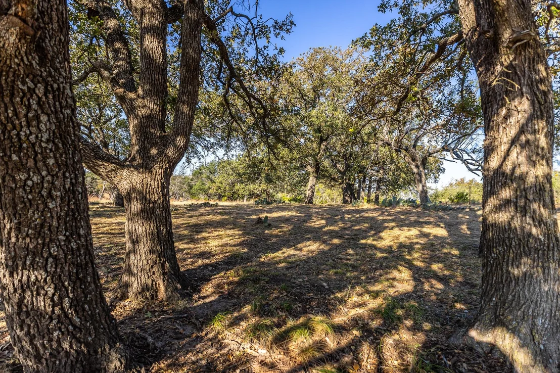 Photo of 1260 County Road 2001