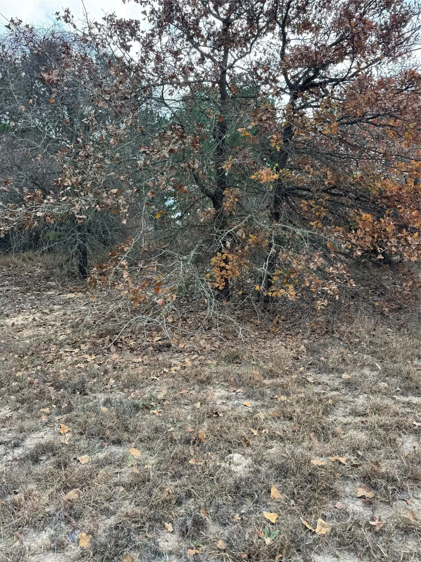 Photo of Lot 7 Cool Water DR