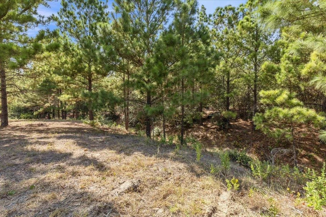 Photo of 122 Hereford LN