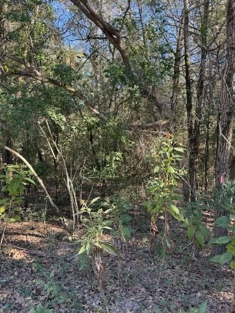 Photo of 125 Helemano DR