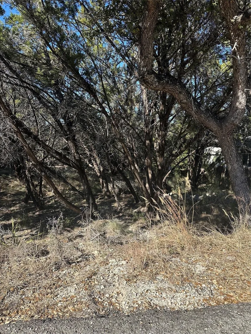 Photo of 20700 Branding Iron