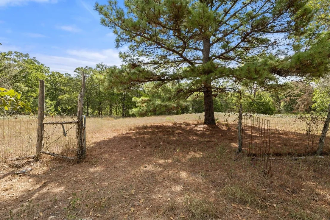 Photo of 242 Cody LN