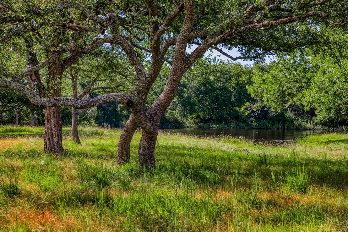 Photo of 6928 County Road 252