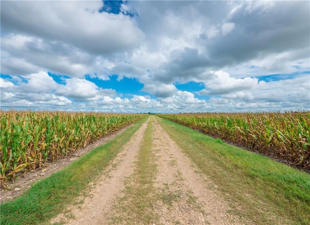 Photo of 703 County Road 368