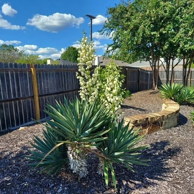 Photo of 1802 Rustic Manor DR