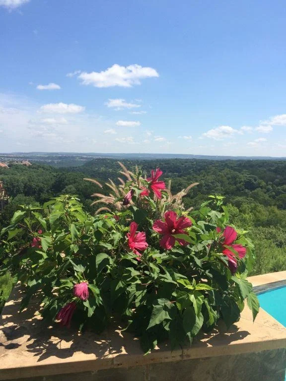 Photo of 10601 Pointe View DR