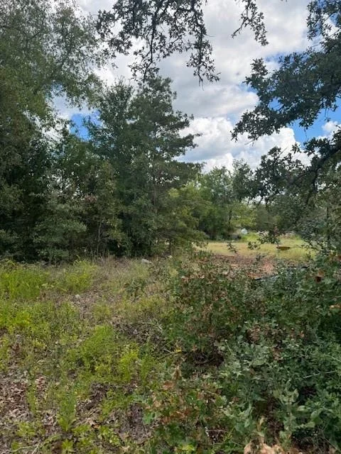 Photo of 261 Flaming Oak DR