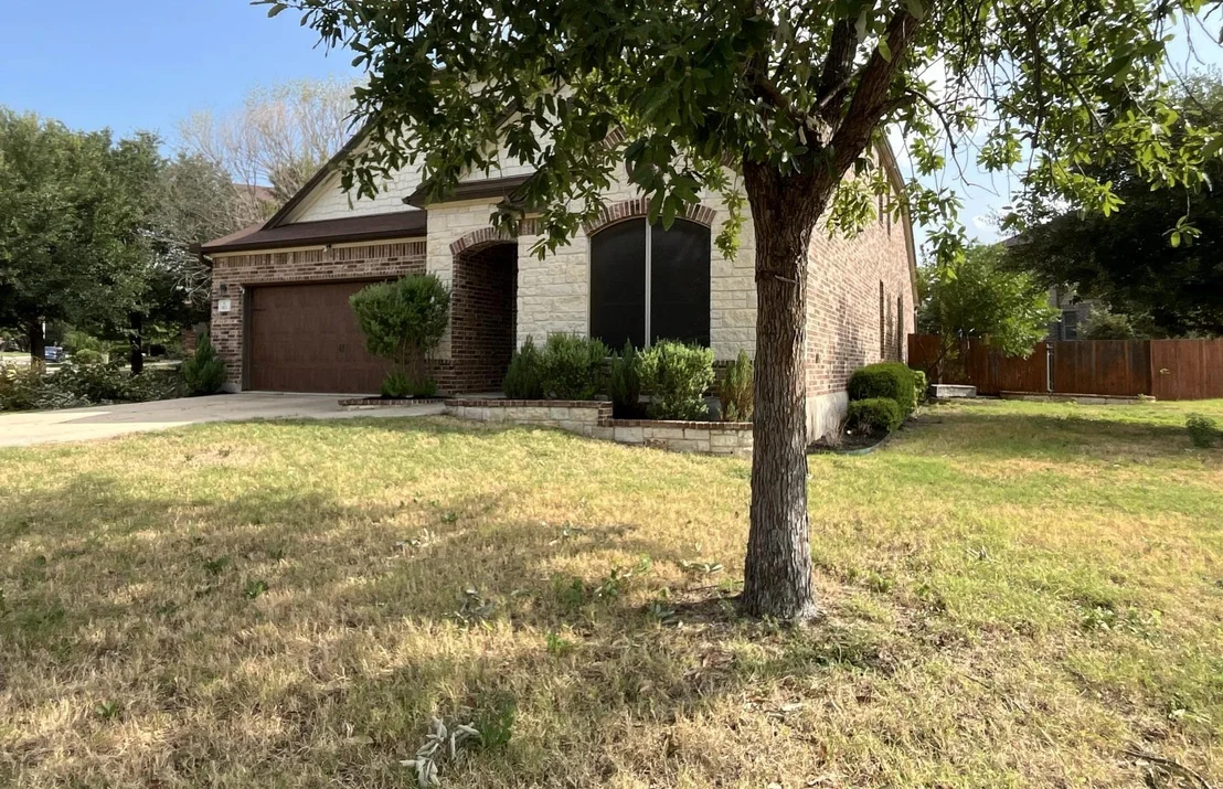 Photo of 913 Water Hyacinth LOOP