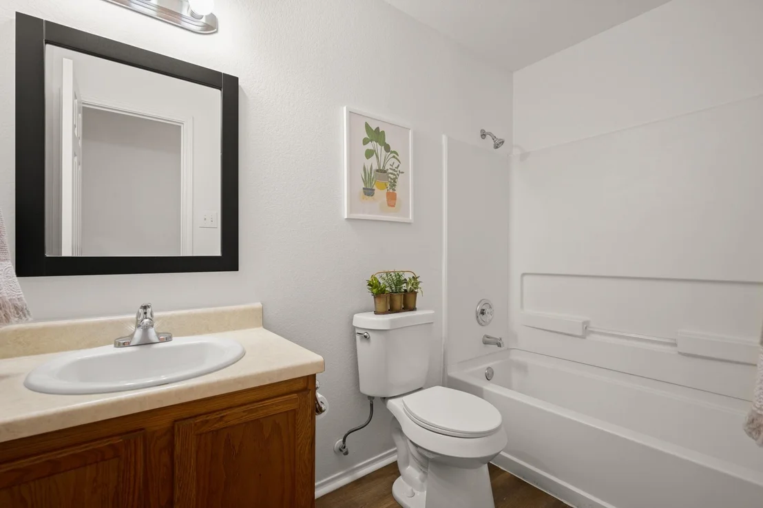Photo of 161 PLUMBAGO CV