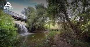 Photo of Unit 702 at 700 Mandarin Flyway