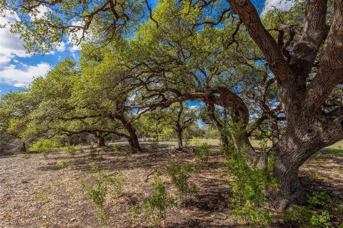 Photo of 9939 County Road 404