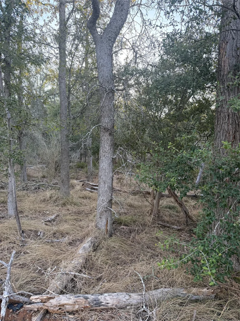 Photo of 159 Helemano DR