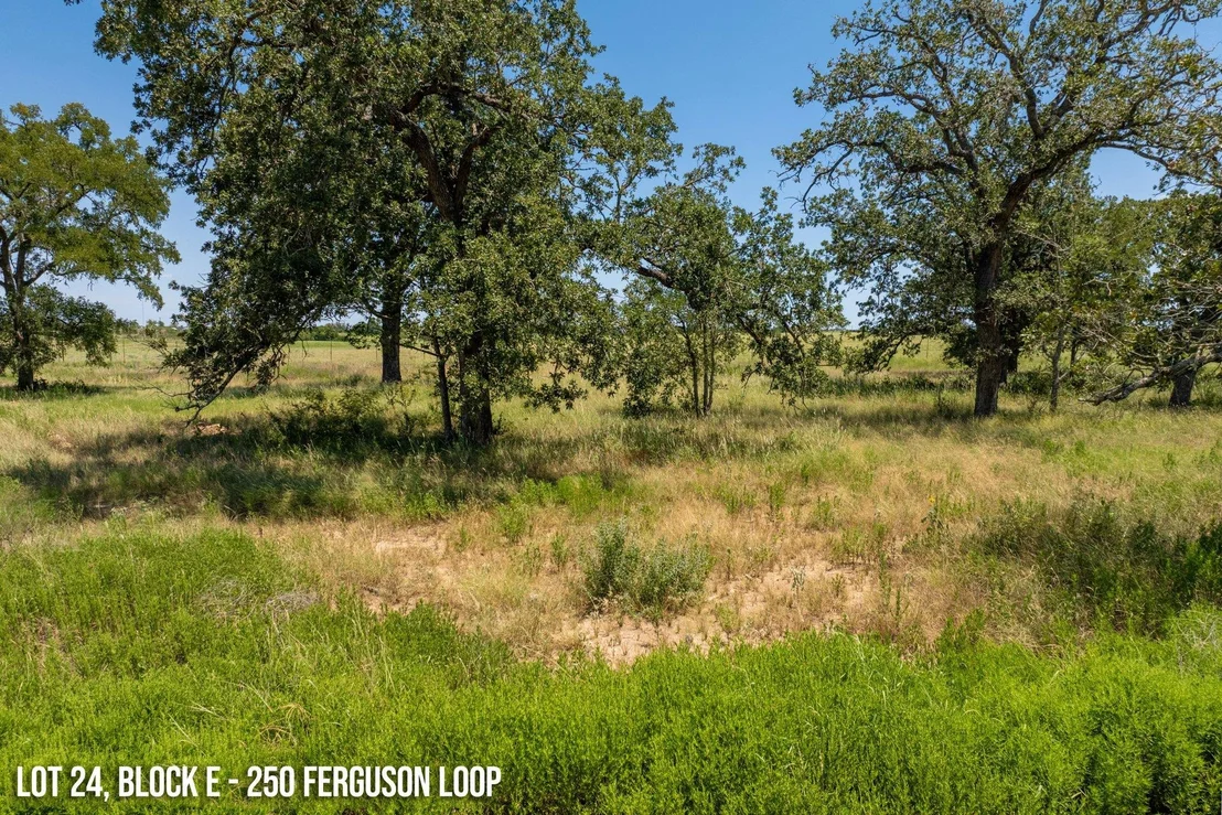 Photo of 250 Ferguson LOOP