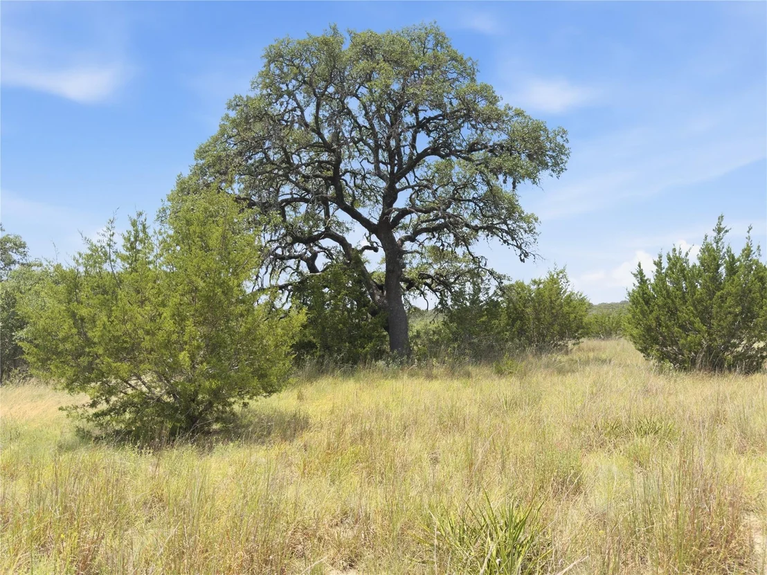 Photo of 963 Summit Ridge Trail DR