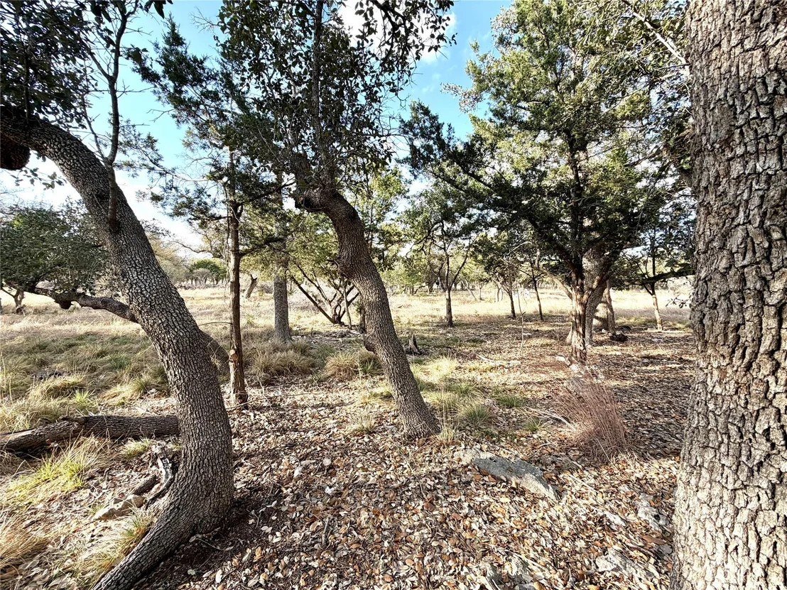 Photo of 1358 County Road 233 RD