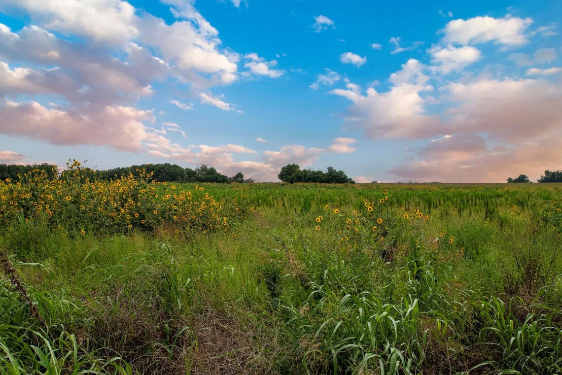 Photo of 150 County Road 126