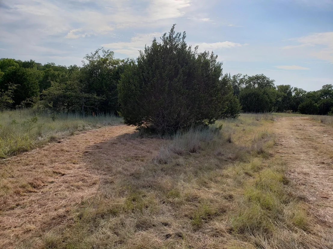 Photo of Lot 44 County Road 3640