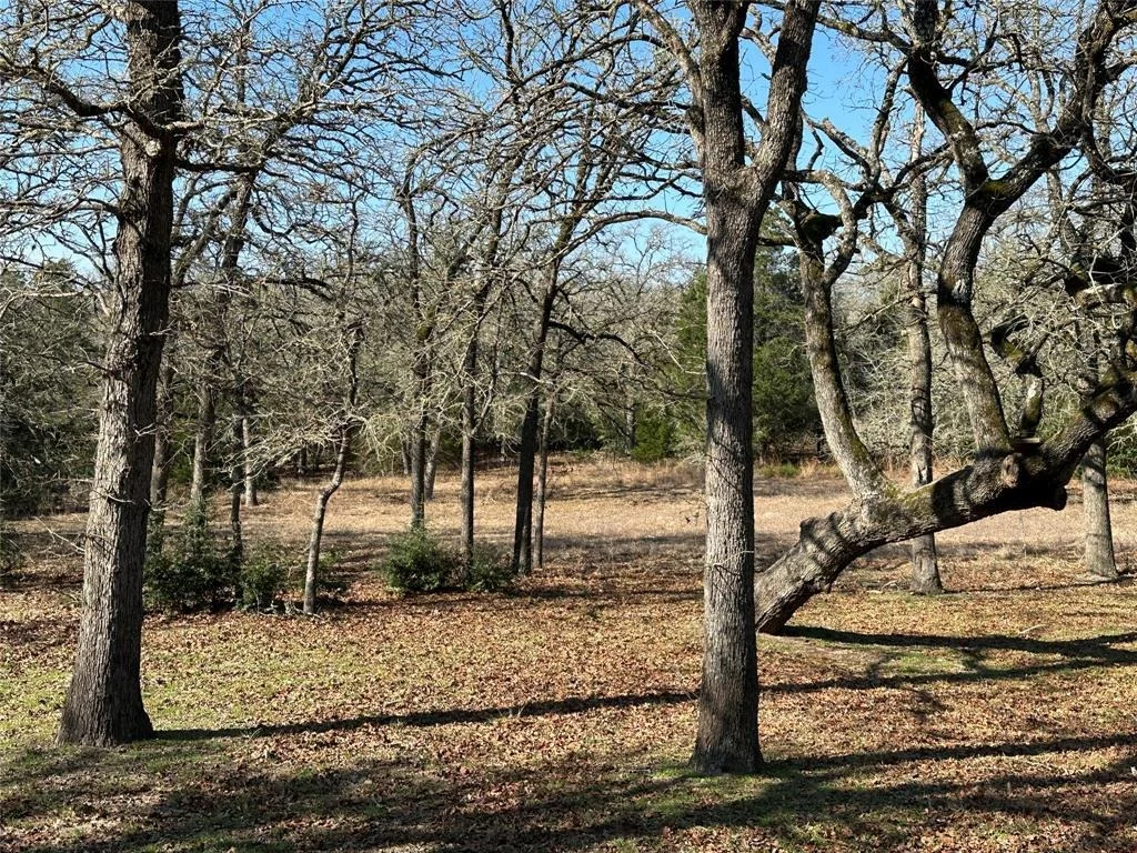 Photo of 1047 Private Road 3022