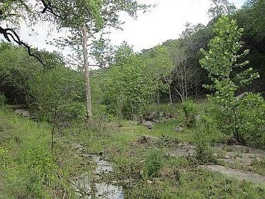 Photo of 350 Bluff RD