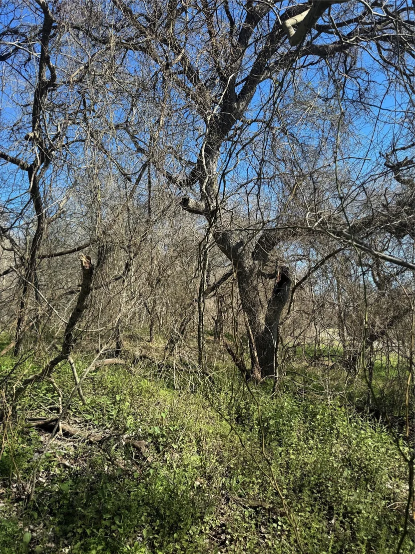 Photo of Lot 961 Riverside DR