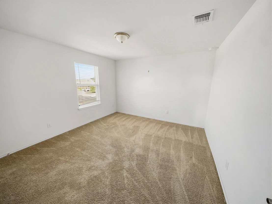 Photo of 101 Clematis CT