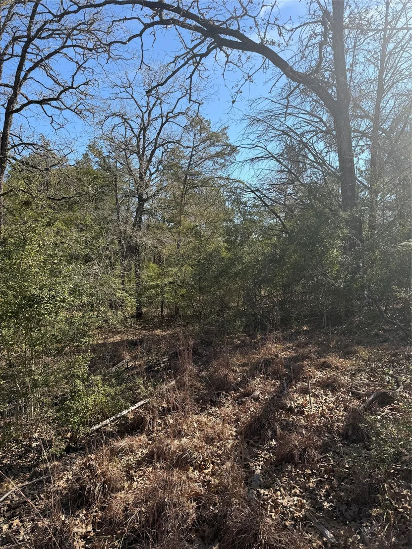 Photo of Lot 110 Wailupe CIR