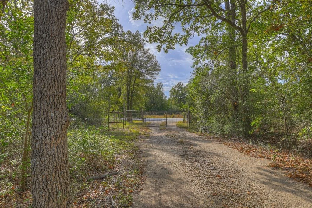 Photo of 19402 Hog Eye RD