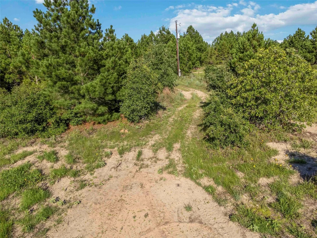 Photo of Lot 2 Autumn RDG