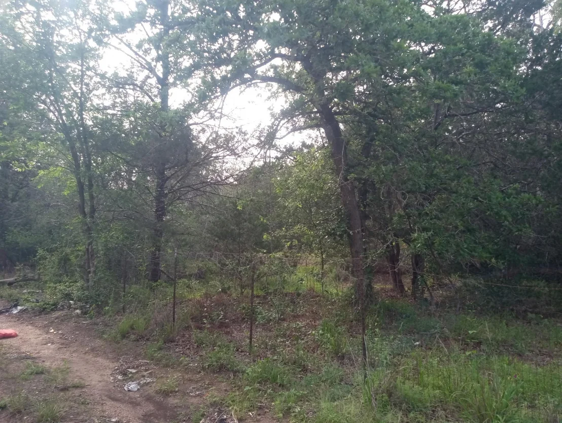 Photo of Unit LOT14A at 314 Green Oaks DR