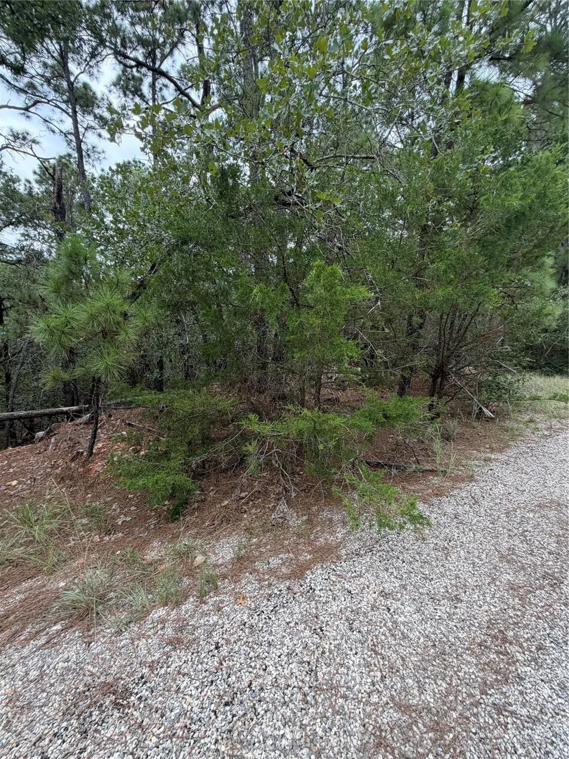 Photo of Lots 216 and 217 Hekili DR