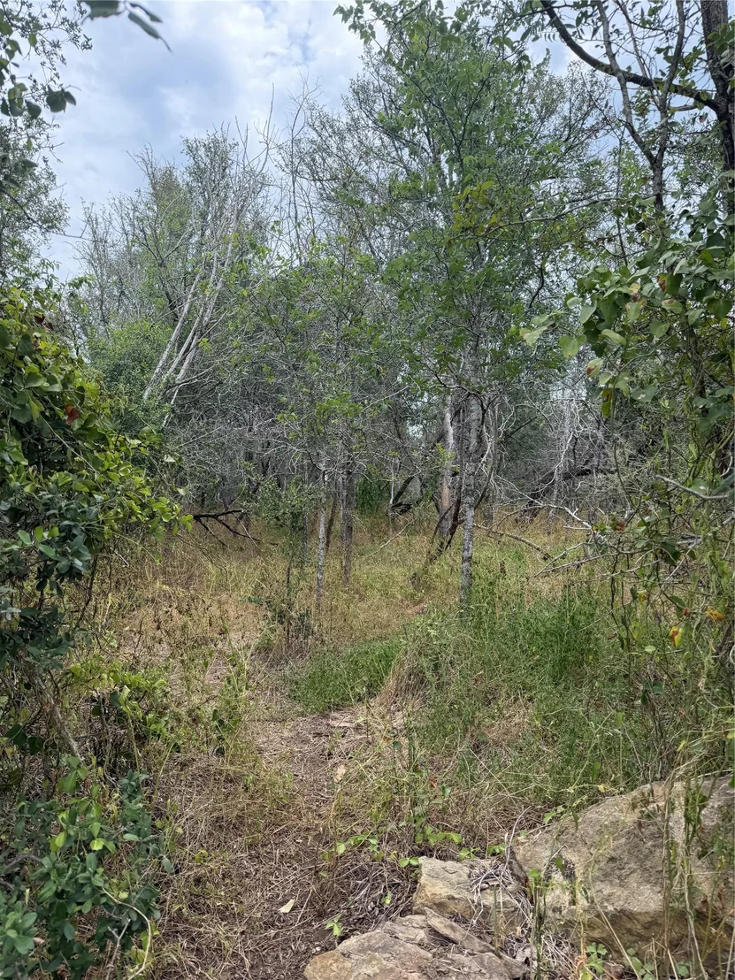 Photo of Lots 451, 452, 453 Heleakala DR