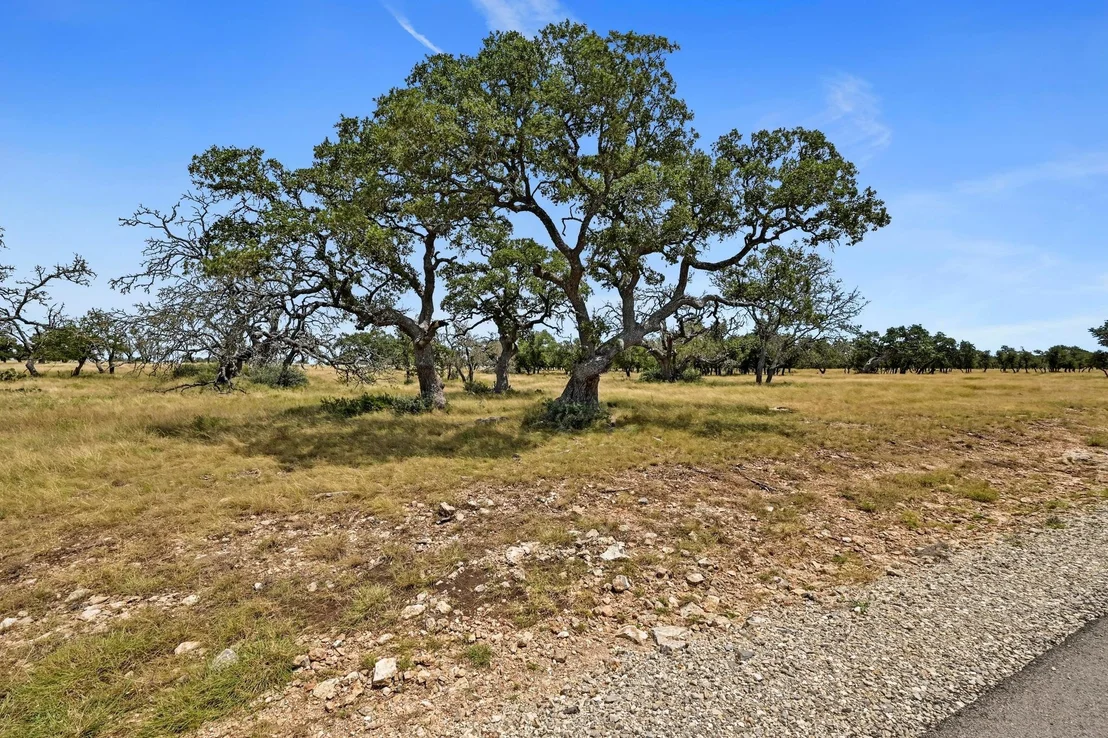 Photo of TBD Pack Saddle DR