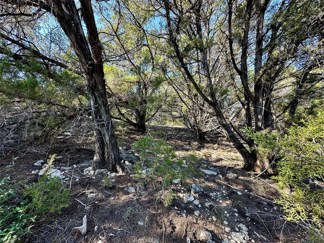 Photo of 7935 Folklore CIR
