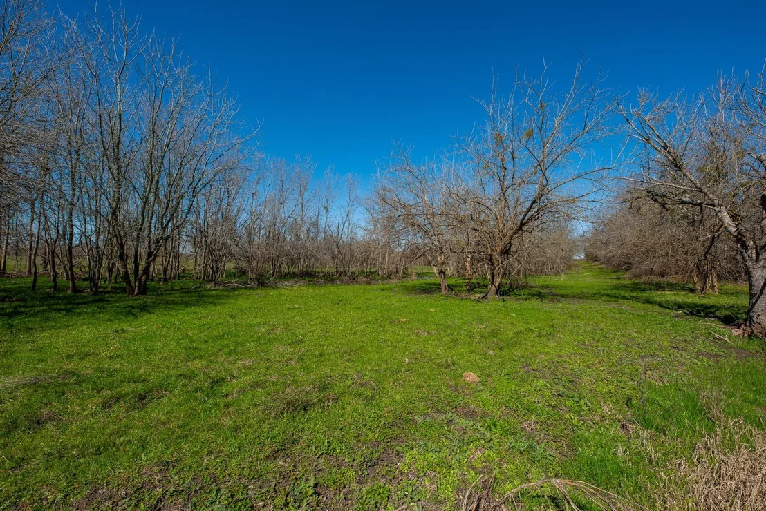 Photo of 901 County Road 398