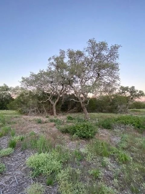 Photo of TBD County Road 252