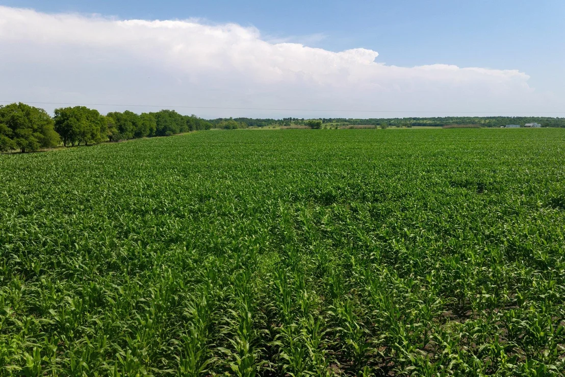 Photo of 2866 County Road 425